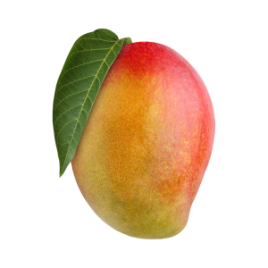 হিমসাগর আম (10 কেজি)