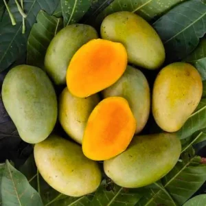 আম্রুপালী আম (10 কেজি)
